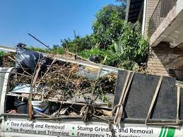 Best Dumpster Rental Services  in Red Wing, MN