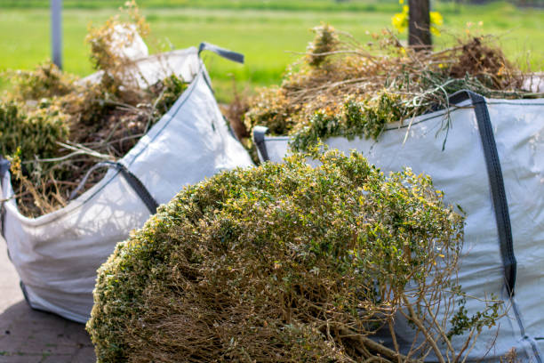 Best Hoarding Cleanup  in Red Wing, MN